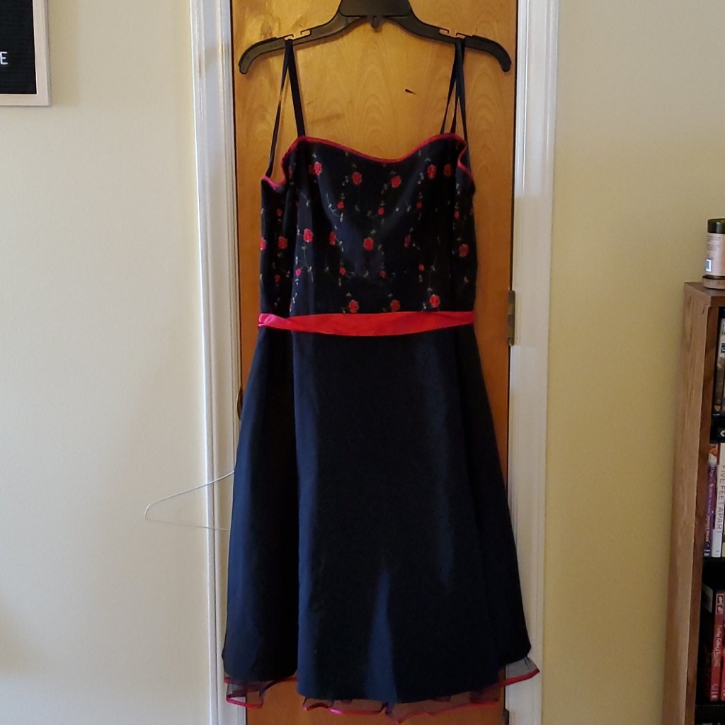Steppin Out Brand Sz 22 Dress